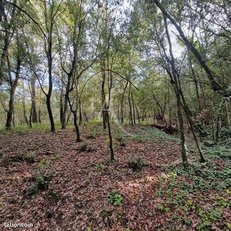 Terrain 2050 m² CARCASSONNE