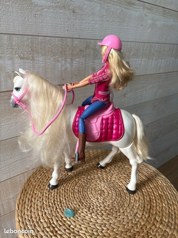 Barbie Dream Horse Cheval De Reve Barbie Barbie Et Son Cheval De