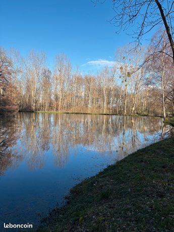 Terrain avec etang