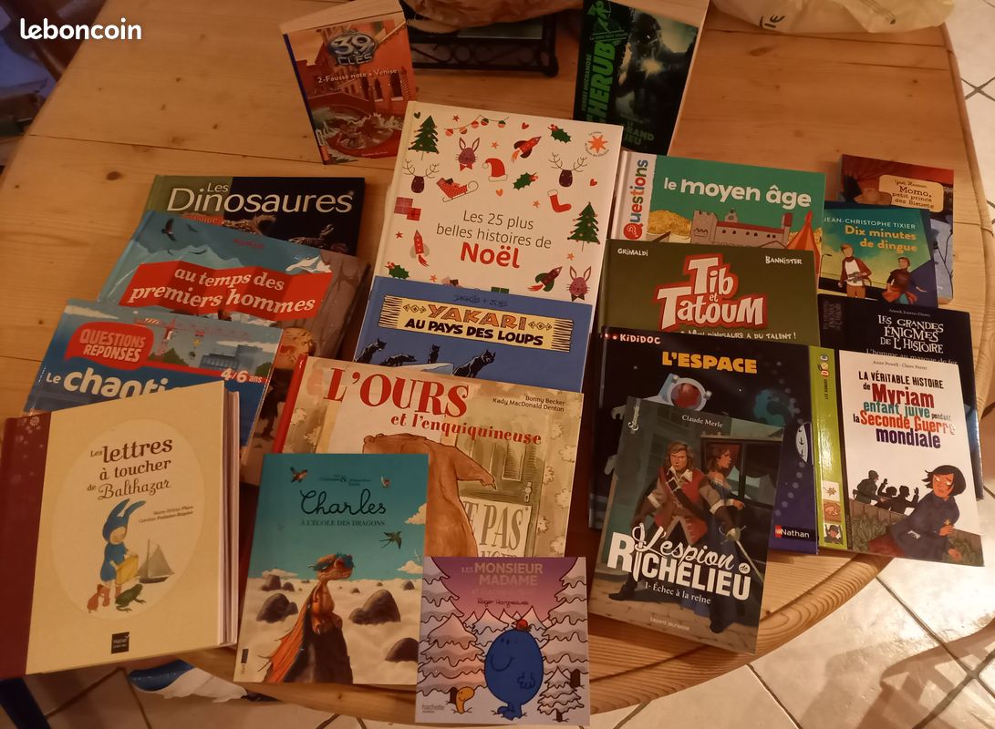 Livres Jeunesse Très bon état (image 1)