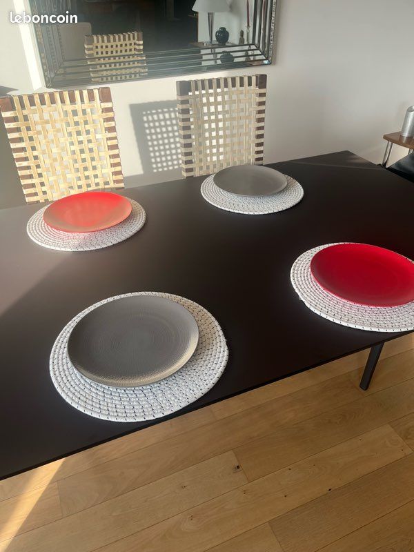 19Assiettes Guy Degrenne (image 5)