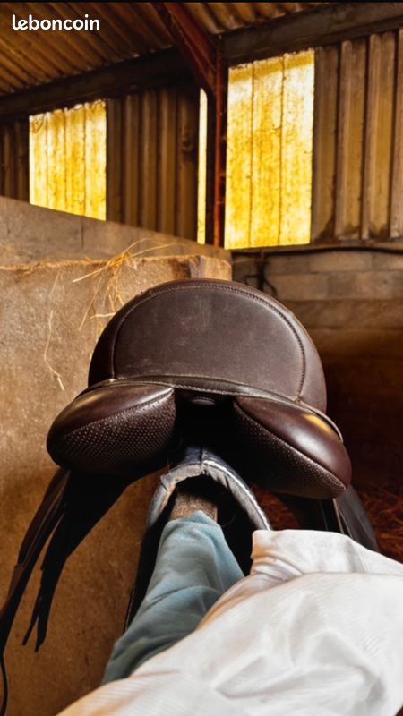Selle d'équitation (image 4)