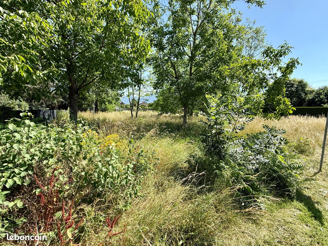 Terrain 1645 m² Ochiaz (image 2)