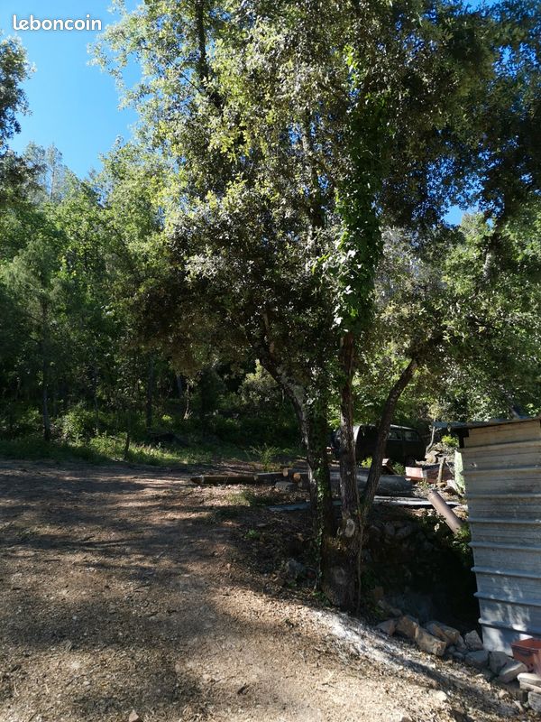 Vend terrain avec cabanon · à Carcès · 55 000 €