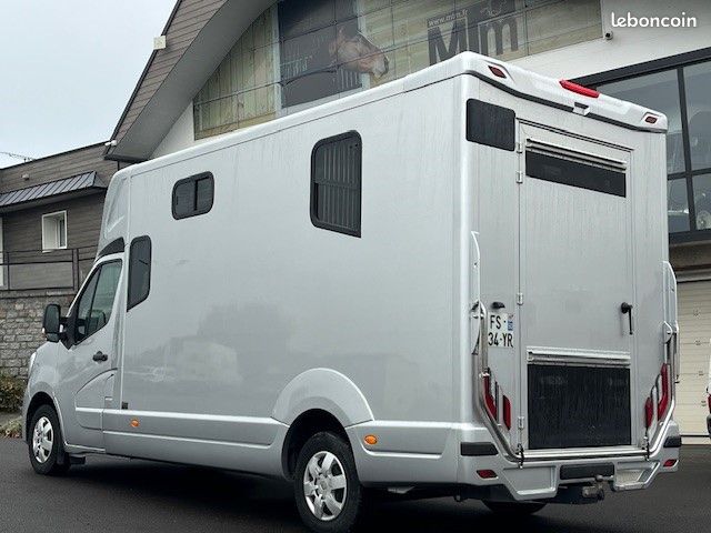 Camion chevaux Renault – 2 places – TVA récupérable – Prix HT (si vente pro avec TVA) (image 4)