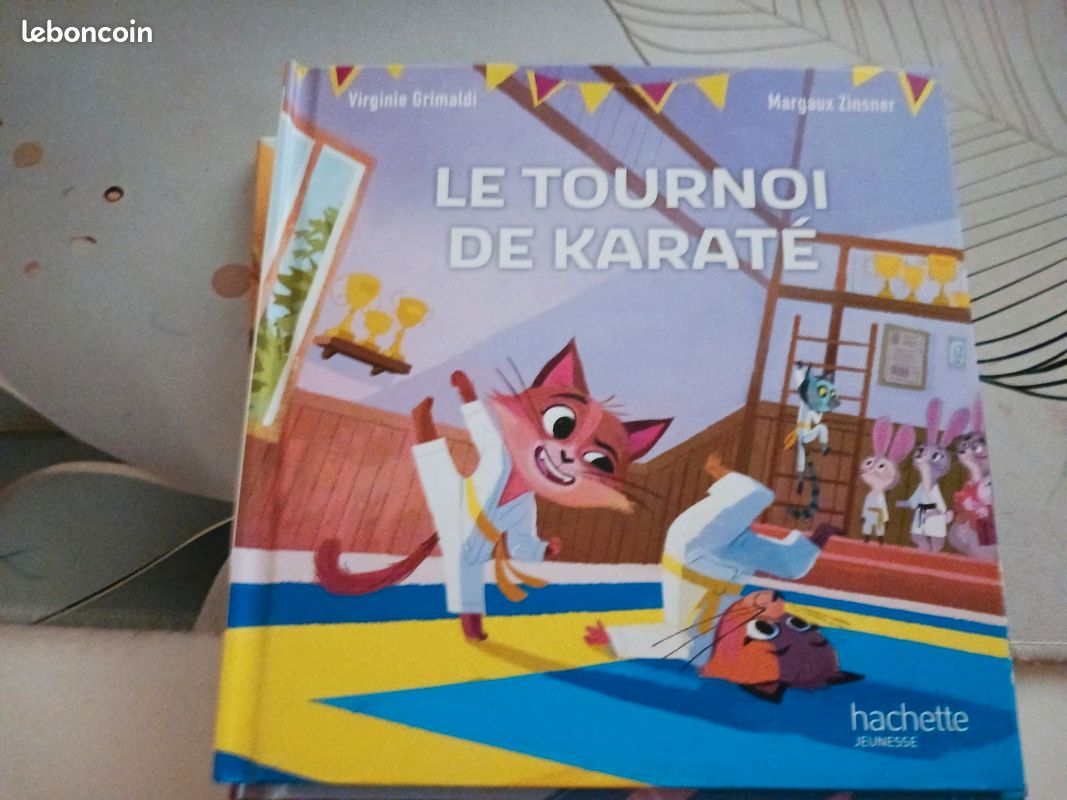 Lot de 18 livres type mac do (image 14)