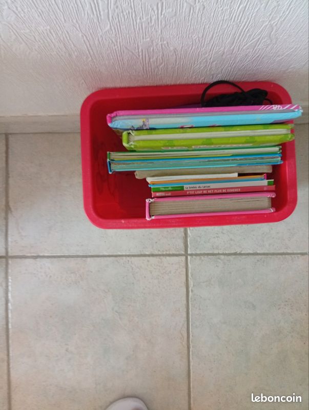 Bac mickey et livre (image 2)