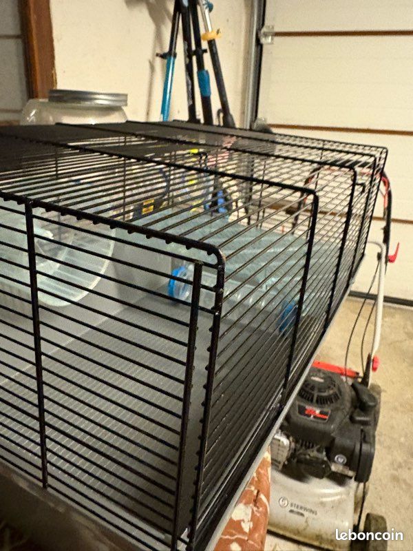 Cage hamster + équipements (image 1)