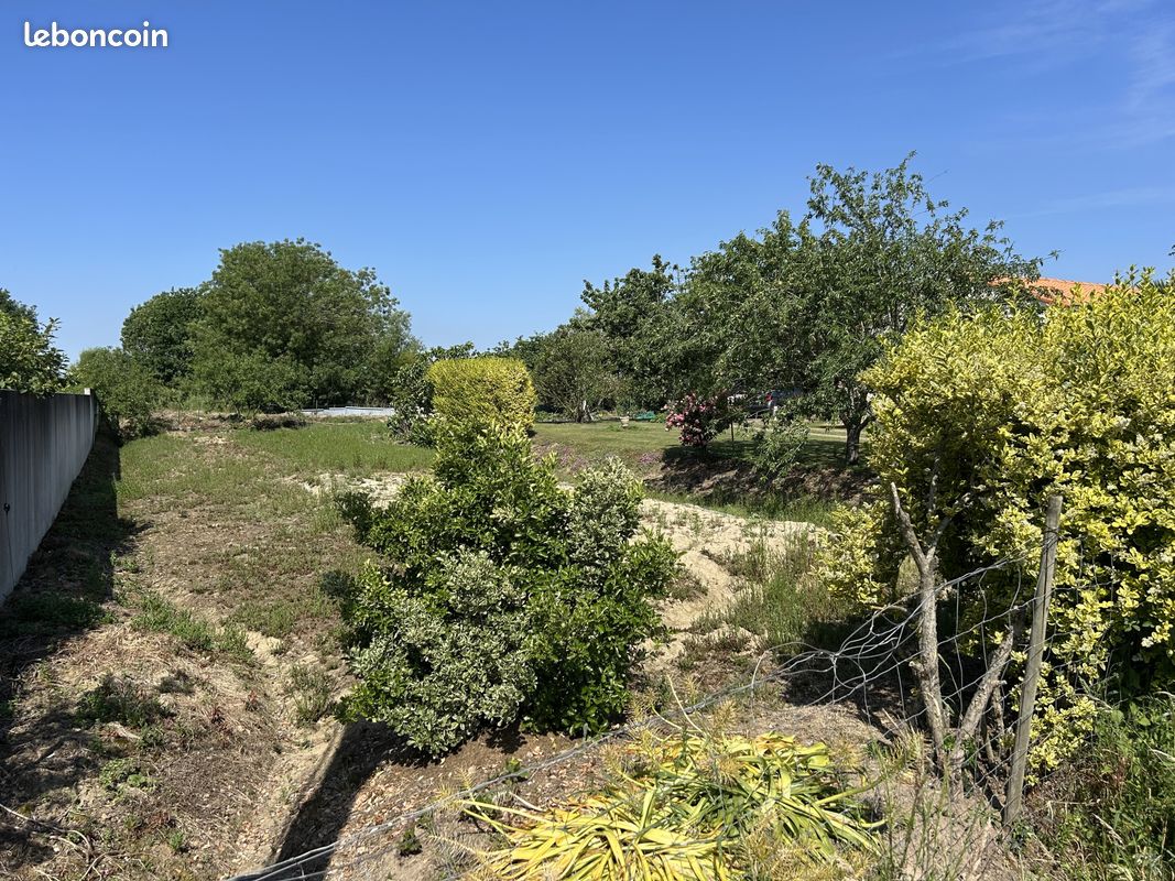 Terrain 951 m² · à Le Loroux-Bottereau · 951 m² · 123 600 €