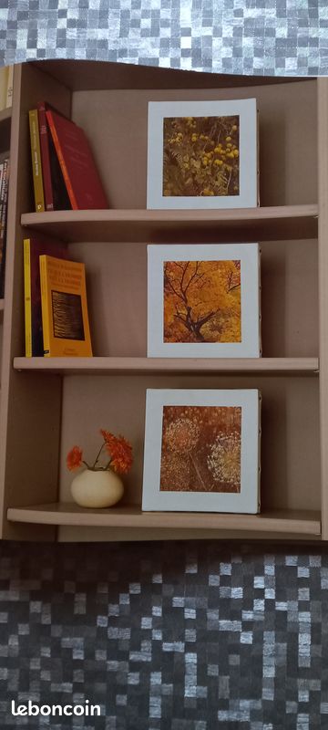 Livre Déco Nature (image 9)