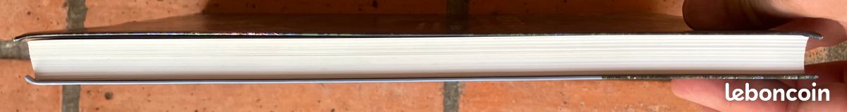 Kerdalo, le jardin continu – Erik Orsenna – État neuf – Beau livre illustré (image 18)