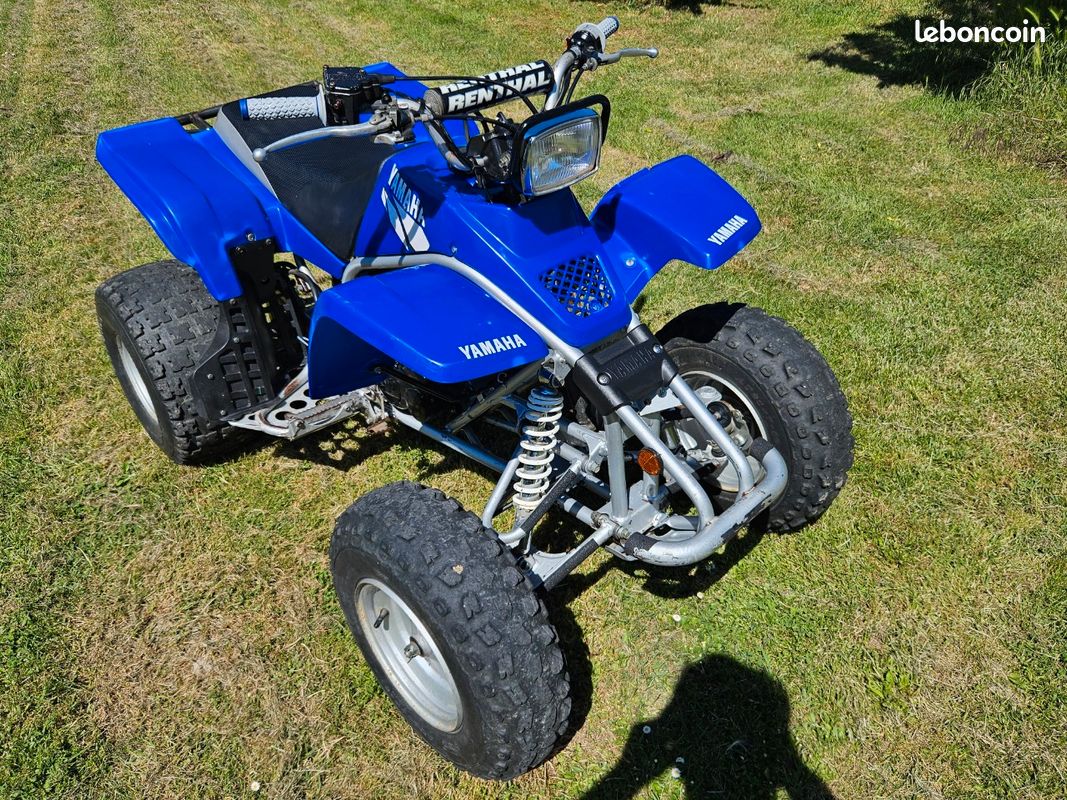 Yamaha 200 blaster (image 1)