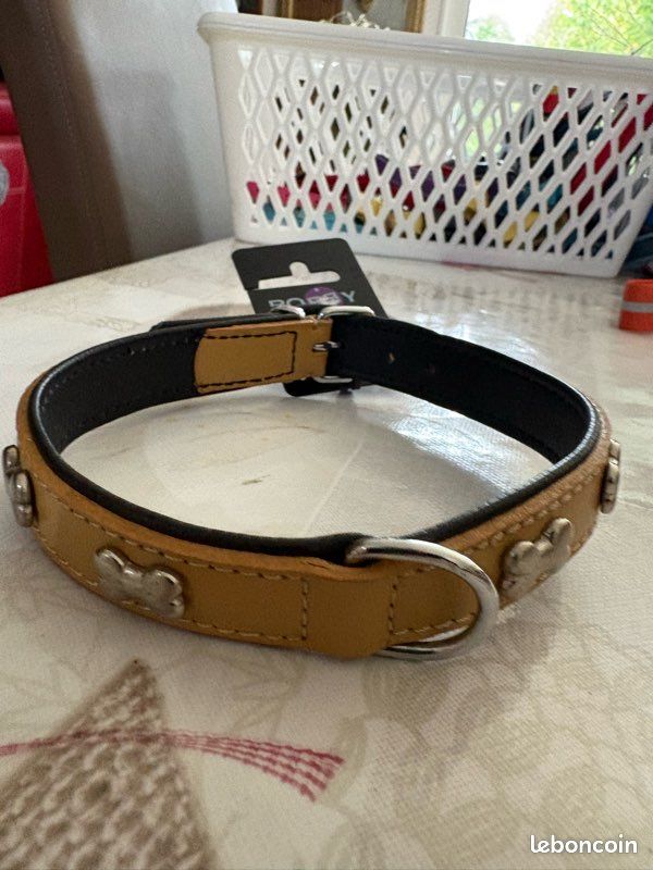 Collier couleur camel neuf chien (image 3)