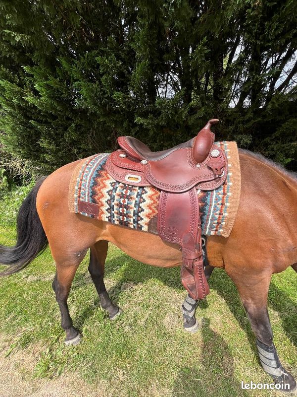 Selle Western En Cuir Marron - Barrel Racing, Taille Ajustable 14 à 18 Pouces