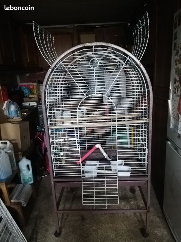 Cage perroquet (image 2)