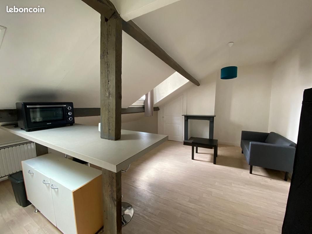Appartement 2 pièces 30 m² - Limoges 87000 (image principale 1)