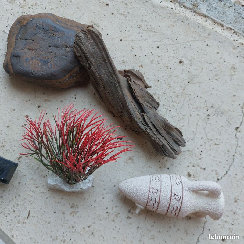 Accessoires aquarium (image 2)