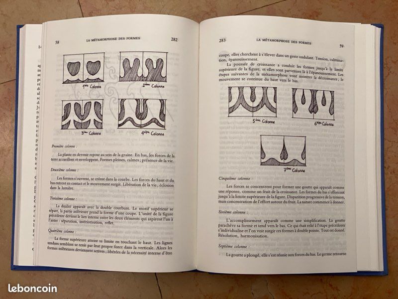 Triades s’explique 1981-82 - Rudolf Steiner (image 5)