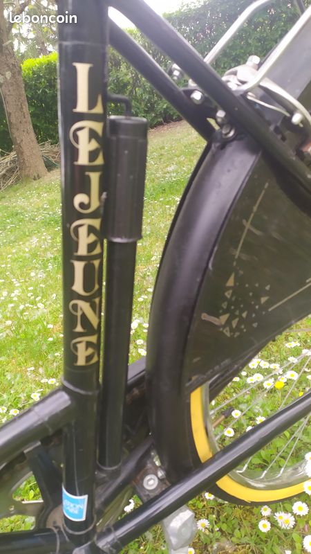 Vélo de ville type Hollandais (image 6)