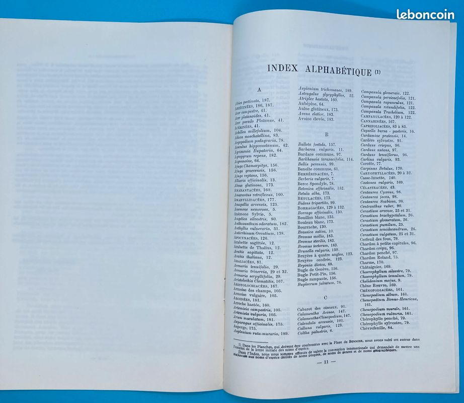 ATLAS DES PLANTES. Madeleine Fourcroy (image 3)