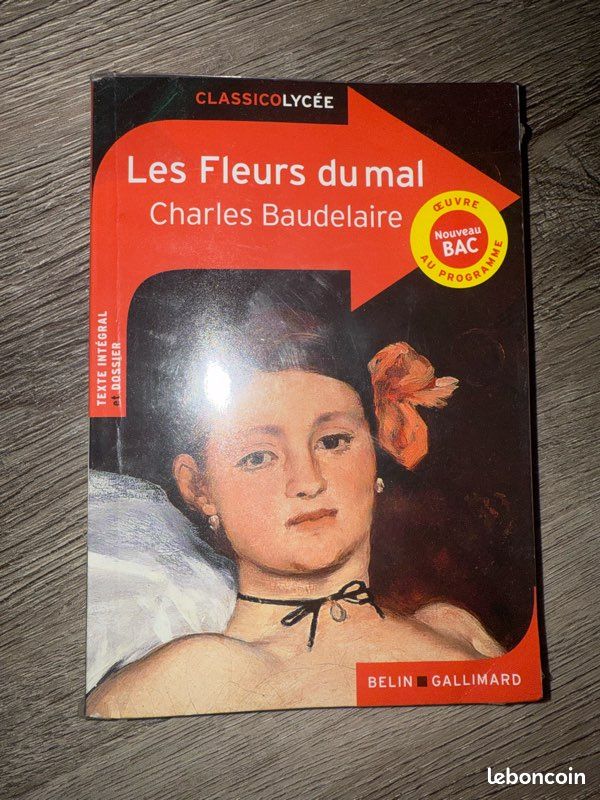 Lots de classiques (image 2)