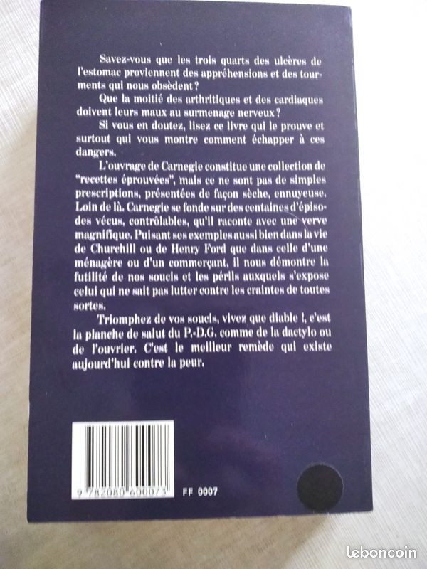 Dale Carnegie Triomphez de vos soucis Vivez que diable (image 3)