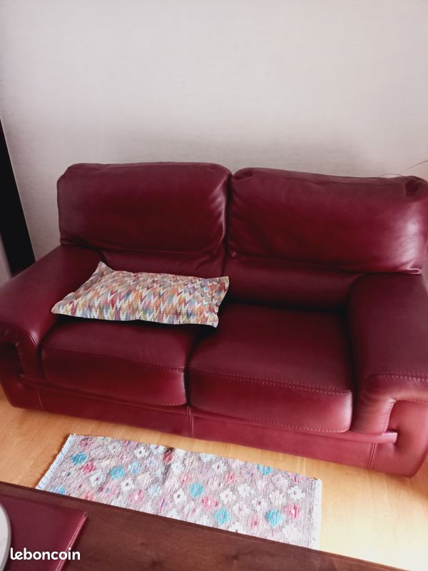 Canapé cuir (image 1)