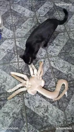 1 Pieza Peluche De Alien Y Facehugger Gris Oscuro