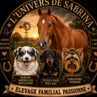 L'univers de sabrina