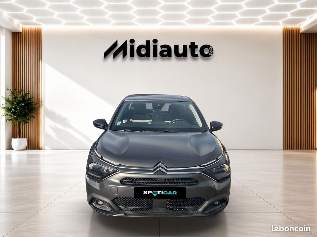 Citroen C4 PureTech 100 Live Pack Business (image 10)