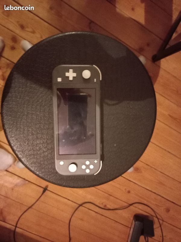Switch lite (image 1)