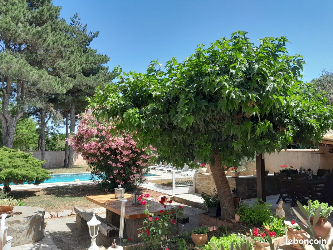 Maison 7 pièces 255 m² · à Carcassonne · 255 m² · 439 000 €