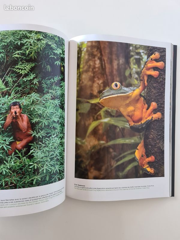 Livre photo : Reporters sans frontières, 100 photos de nature pour la liberté de la presse (image 3)
