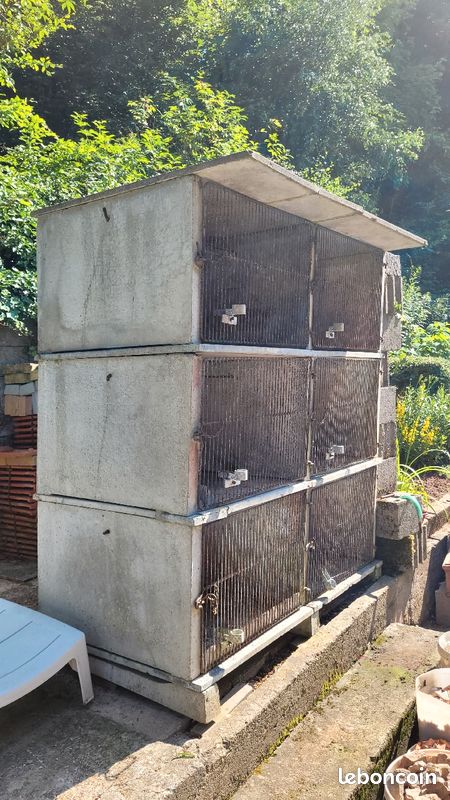 Vente cage de Lapin (image 2)