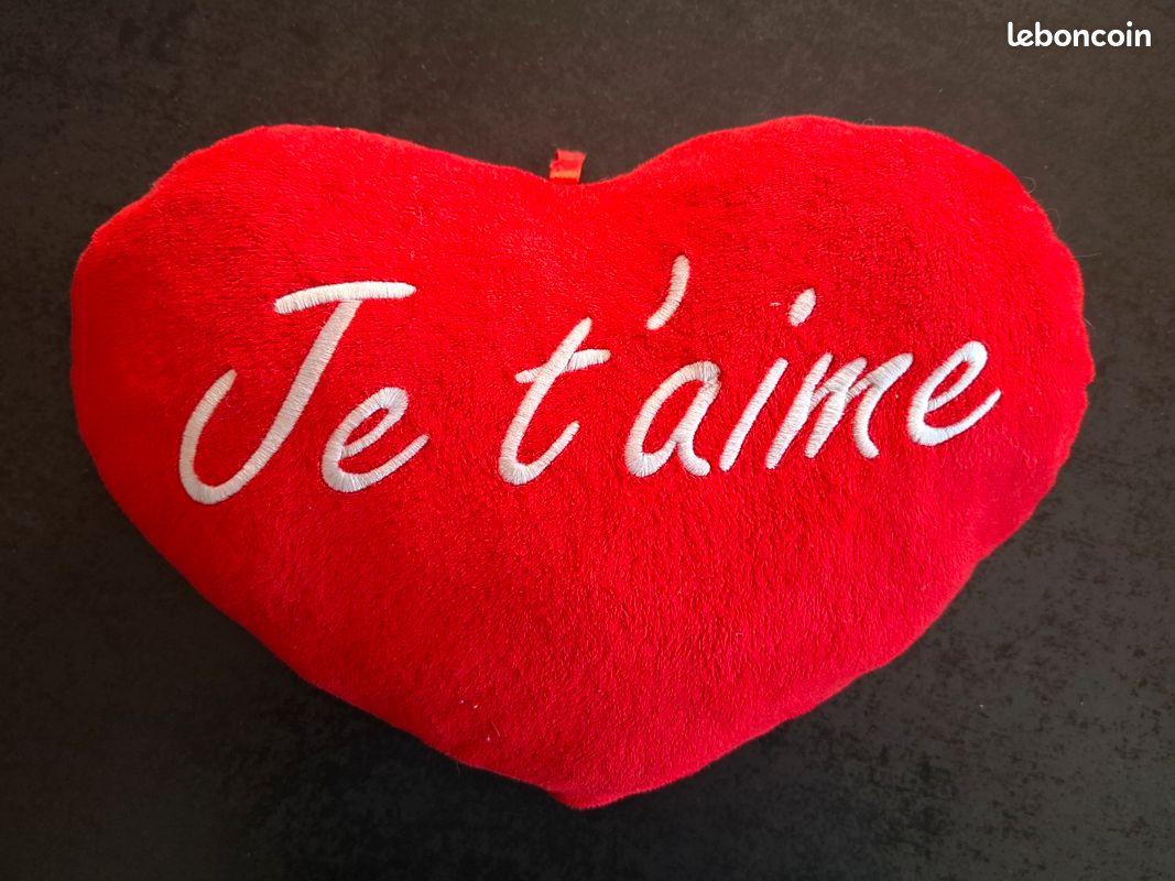 Coussin cœur (DitouG3E) (image 1)