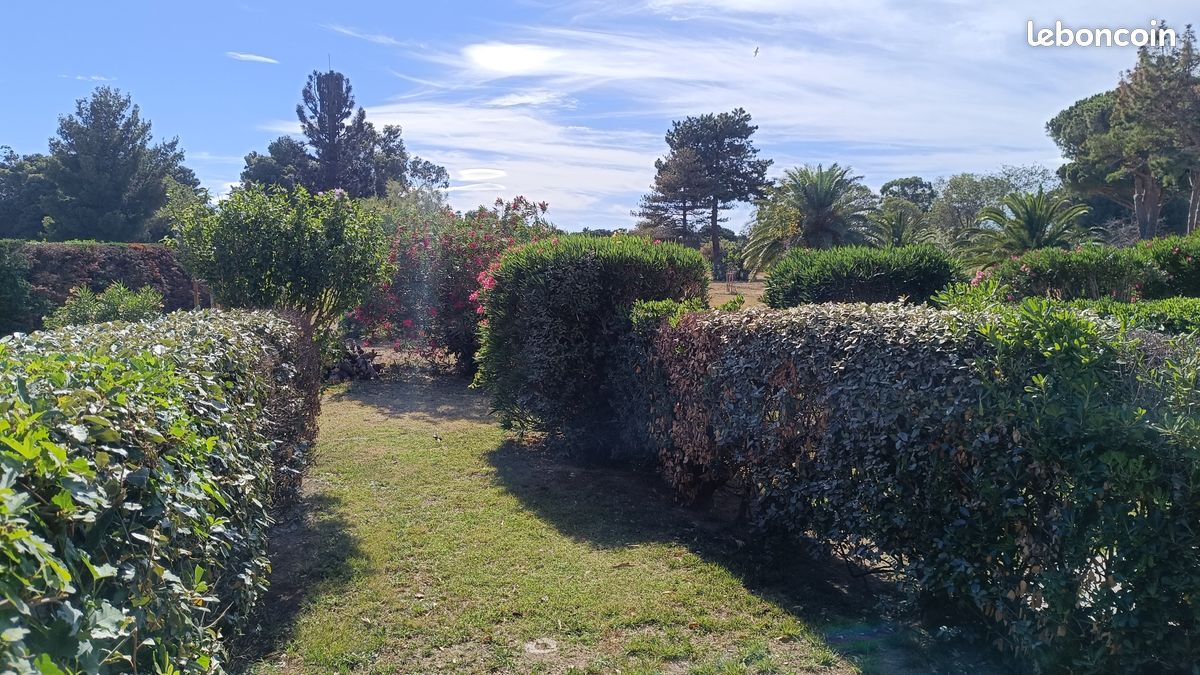 Appartement Saint-Cyprien plage (image 2)