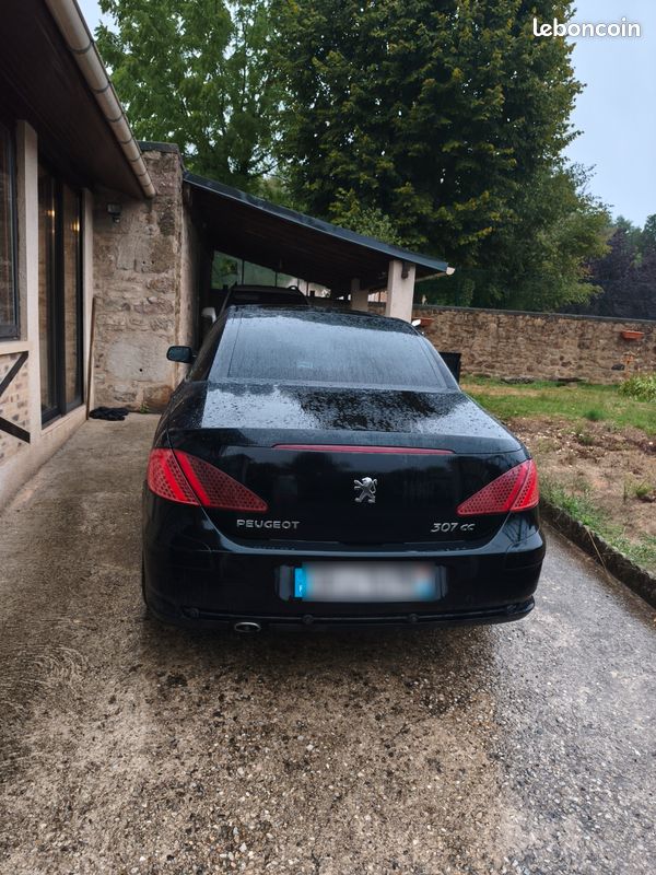 307 cc (image 2)