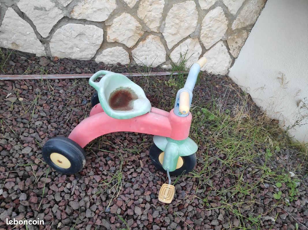 Trotteur (image 1)