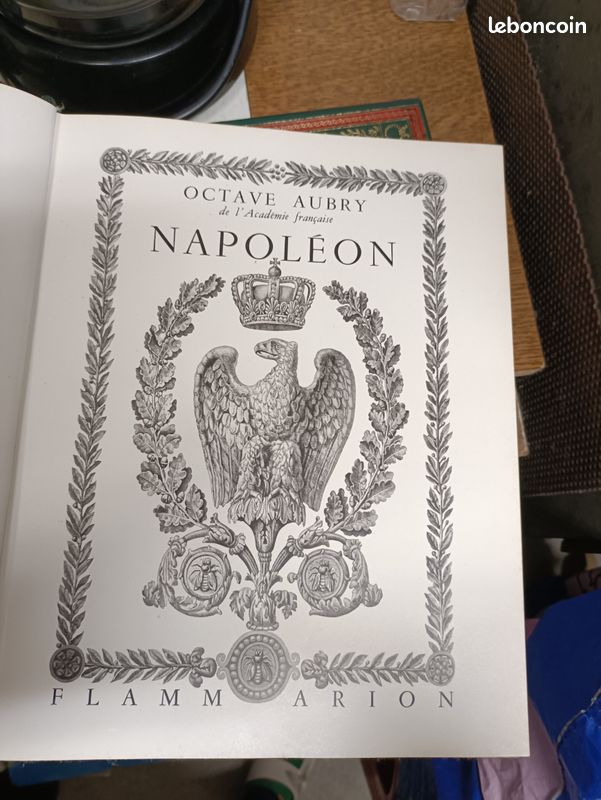 Livre Napoléon Flammarion (image 3)
