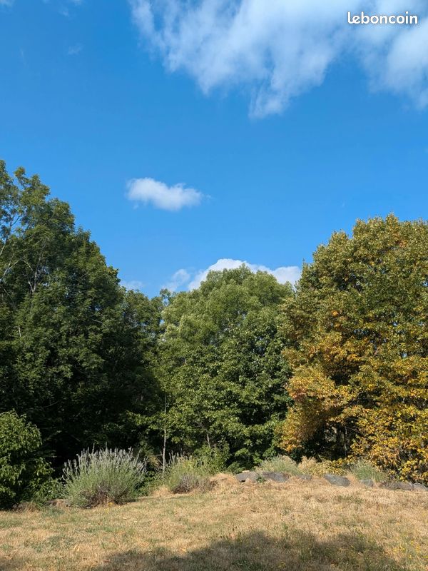 Location (image 13)