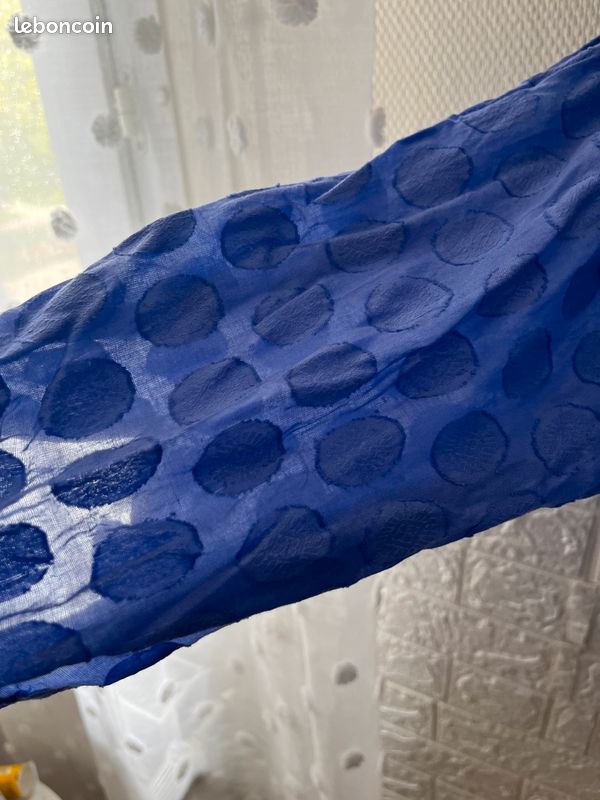 Plumetis bleu (image 5)