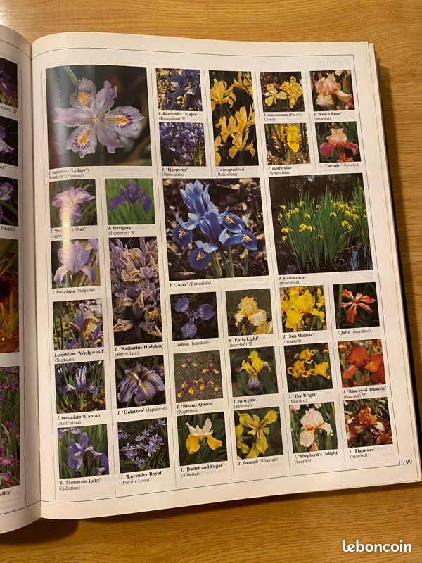 The royal horticultural society gardeners' eincyclopedia plants & flowers (image 2)