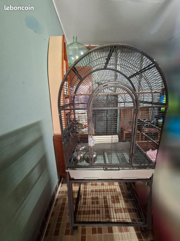 Vente cage oiseaux (image 1)