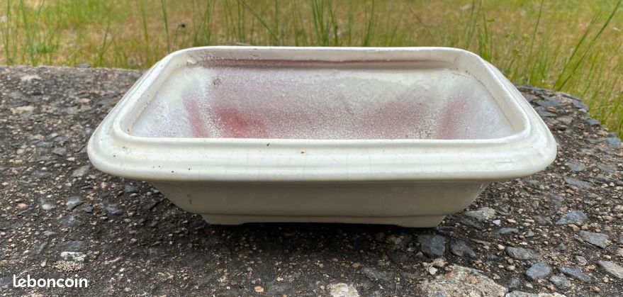 Pot à bonsaï (image 1)