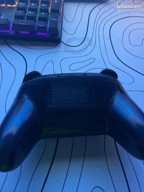 Manette pro switch (image 2)