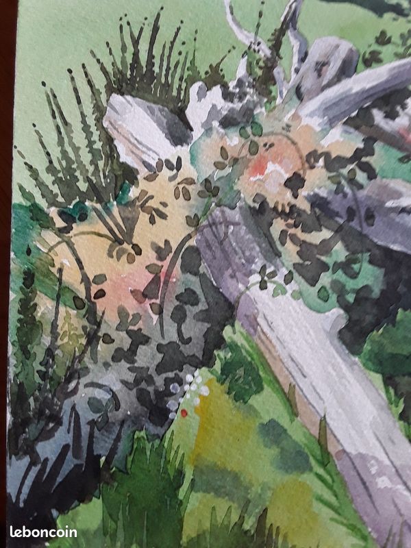 Aquarelle : Arbre mort dans un pré, Angleterre (image 3)