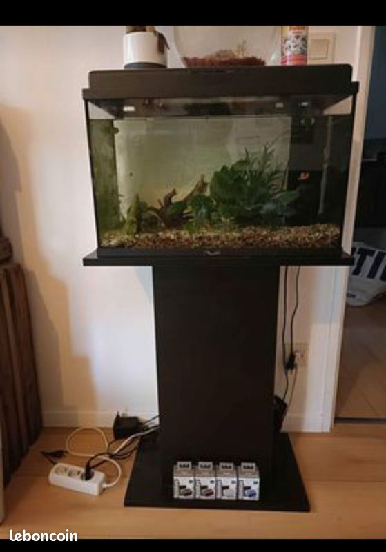 Aquarium (image 1)