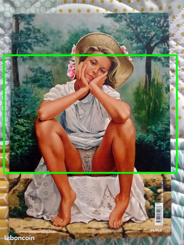 "Pin-up Tome 2" (érotisme ++) ASLAN - pour adultes avertis - AVCP (image 1)