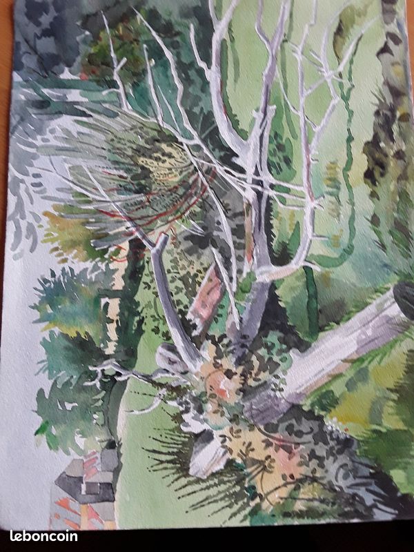 Aquarelle : Arbre mort dans un pré, Angleterre (image 1)