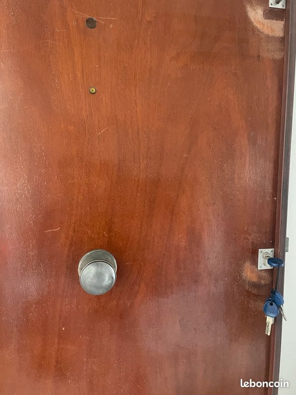 Vends porte d entrée appartement (image 3)